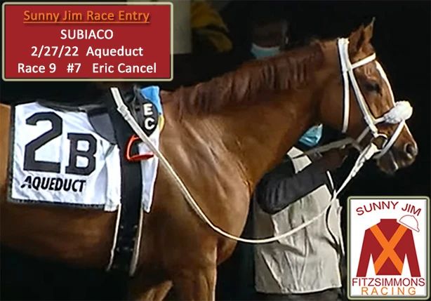 Subiaco makes her Sunny Jim Fitzsimmons Racing debut today in the 9th race at Aqueduct. Good luck to jockey Eric Cancel, trainer Orlando Noda, and all of our partners! @nodaracing @ericcancel24