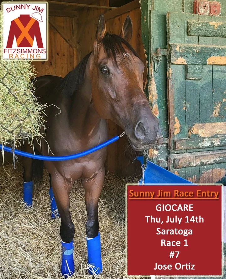 Sunny Jim Fitzsimmons Racing is hitting the ground running at Saratoga as Giocare is entered in the first race on opening day. Good luck to jockey Jose Ortiz, trainer Orlando Noda, and all of our new partners! @joseortizjockey @nodaracing @thenyra