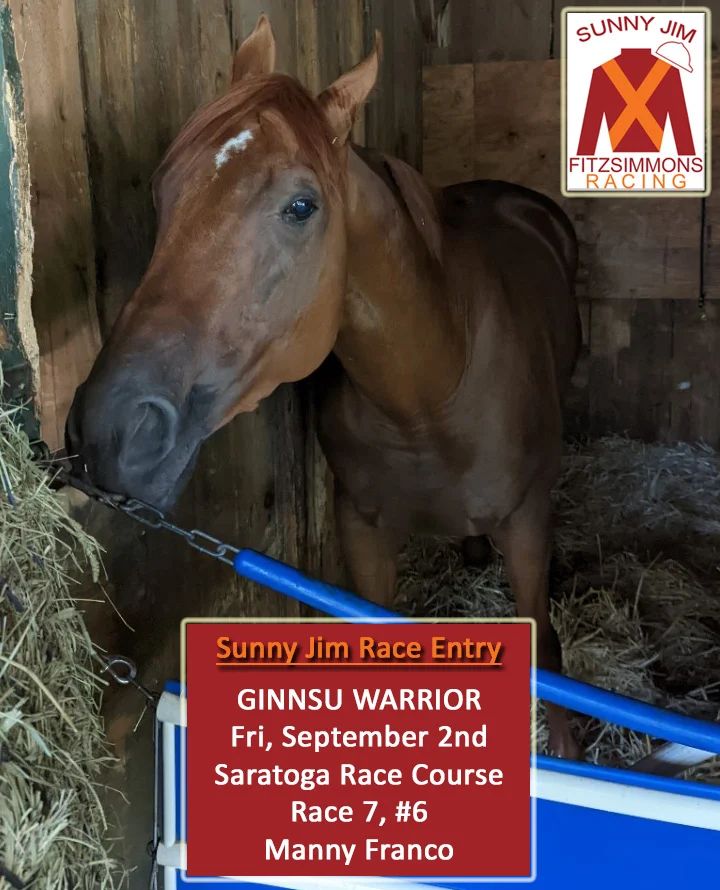 Ginnsu Warrior makes his Sunny Jim Fitzsimmons Racing debut today in the 7th race at Saratoga. Good luck to jockey Manny Franco, trainer Orlando Noda and all of our partners! @manuelfranco19 @nodaracing